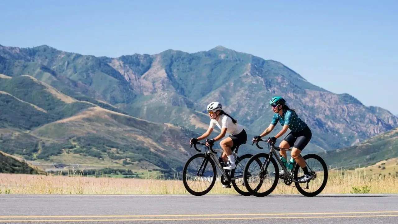 melhores casas de apostas